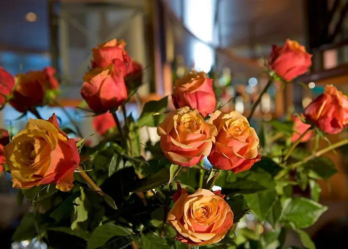 Готель Cresta Sun